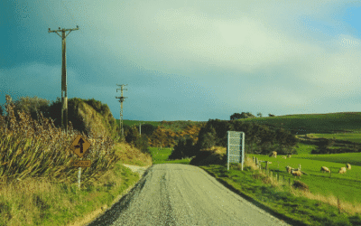 Plan Your Catlins Road Trip: A Quick Guide